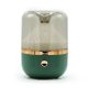 Grüner und Bronze-Aroma-Diffuser - USB - Farbwechselnd