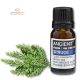 Fichtenöl 10 ml