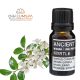 Myrtenöl Ätherisches Öl 10ml