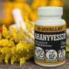 Goldraute 60Stk - JAVALLAT®