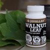 Walnussblatt 60 St. - JAVALLAT®