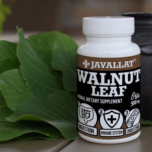 Walnussblatt 60 St. - JAVALLAT®
