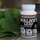 Walnussblatt 60 St. - JAVALLAT®