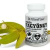 Weiße Mistel 60 St. (White Mistletoe) - JAVALLAT®