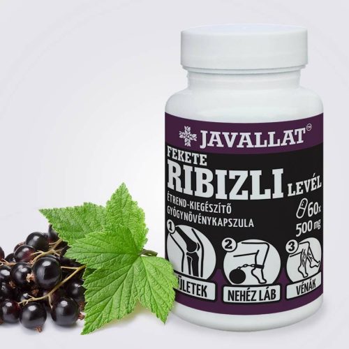 Schwarze Johannisbeerblätter 60 St. - JAVALLAT®