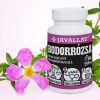 Zistrosenblätter 60Stück - JAVALLAT®