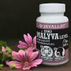 Wilde Malvenblätter 60St. - JAVALLAT®