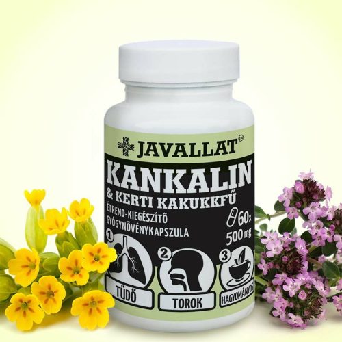 Schlüsselblume und Garten-Thymian 60 St. - JAVALLAT®
