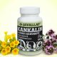 Schlüsselblume und Garten-Thymian 60 St. - JAVALLAT®