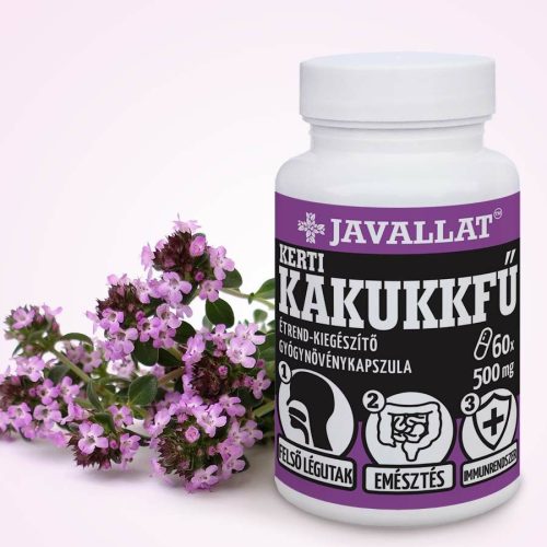Garten-Thymian 60 St. - JAVALLAT®