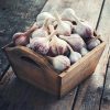 Knoblauch 60db - JAVALLAT®