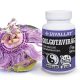 Passionsblume 60Stück - JAVALLAT®