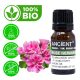 Rose Geranium Bio Ätherisches Öl 10ml
